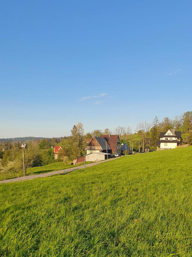 Willa Jedrek Z Sauna, Kominkiem I Tarasem Zakopane Exterior photo